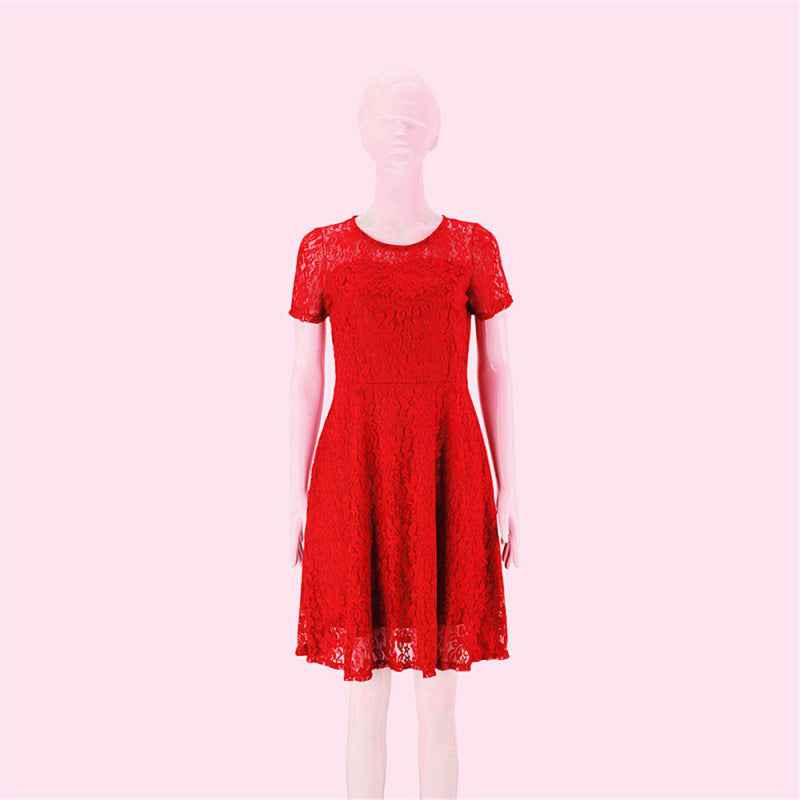 Round Neck Short Sleeve Lace Dress